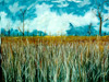 Field of Grass - Oil on Canvas